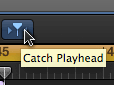 catch-playhead